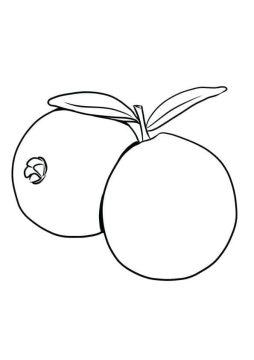 Desenho de Goiabas para Colorir