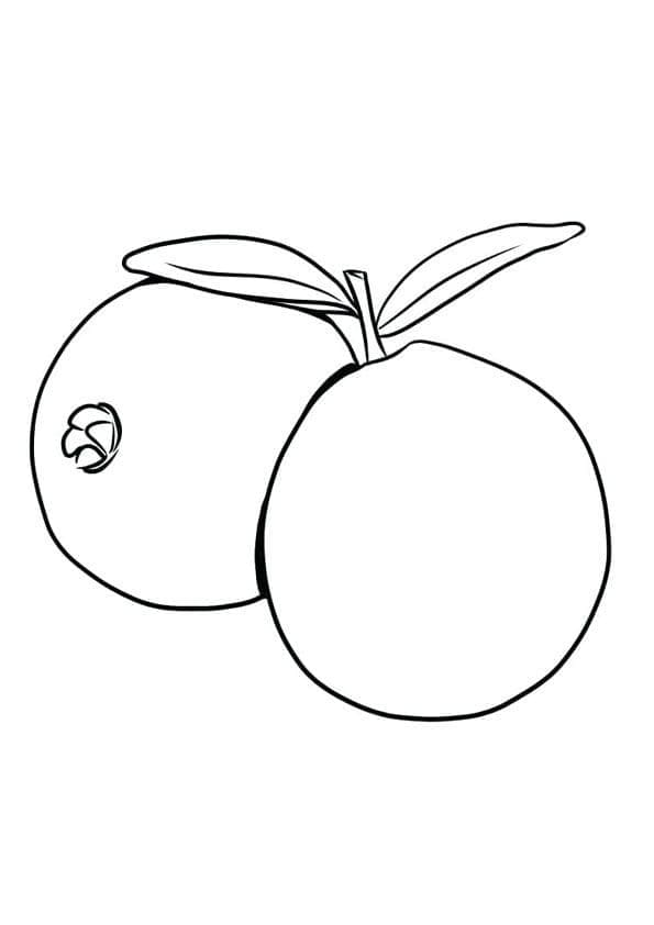 Desenho de Goiabas para Colorir