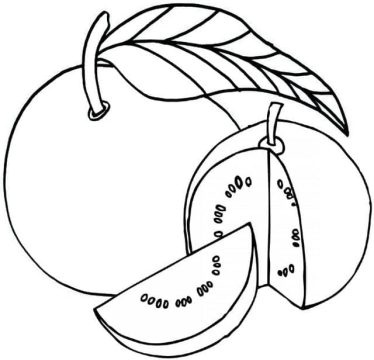 Desenho de Goiabas para crianças para Colorir