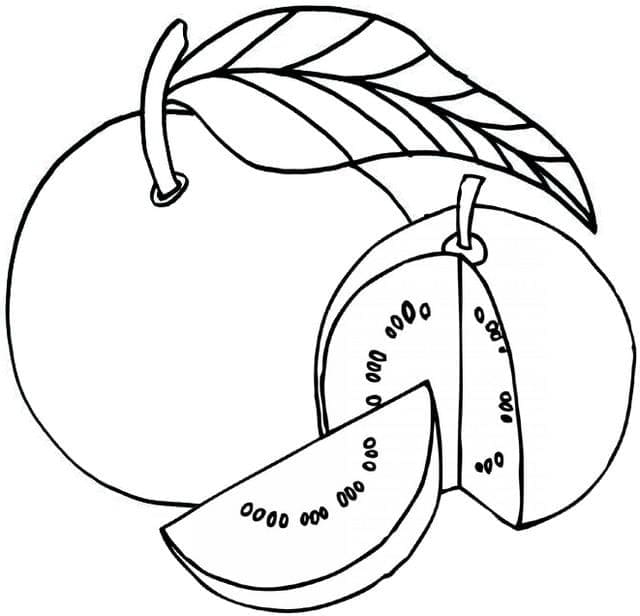 Desenho de Goiabas para Crianças para Colorir