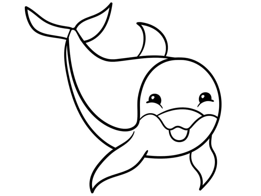 Desenho de Golfinho Amigável para Colorir