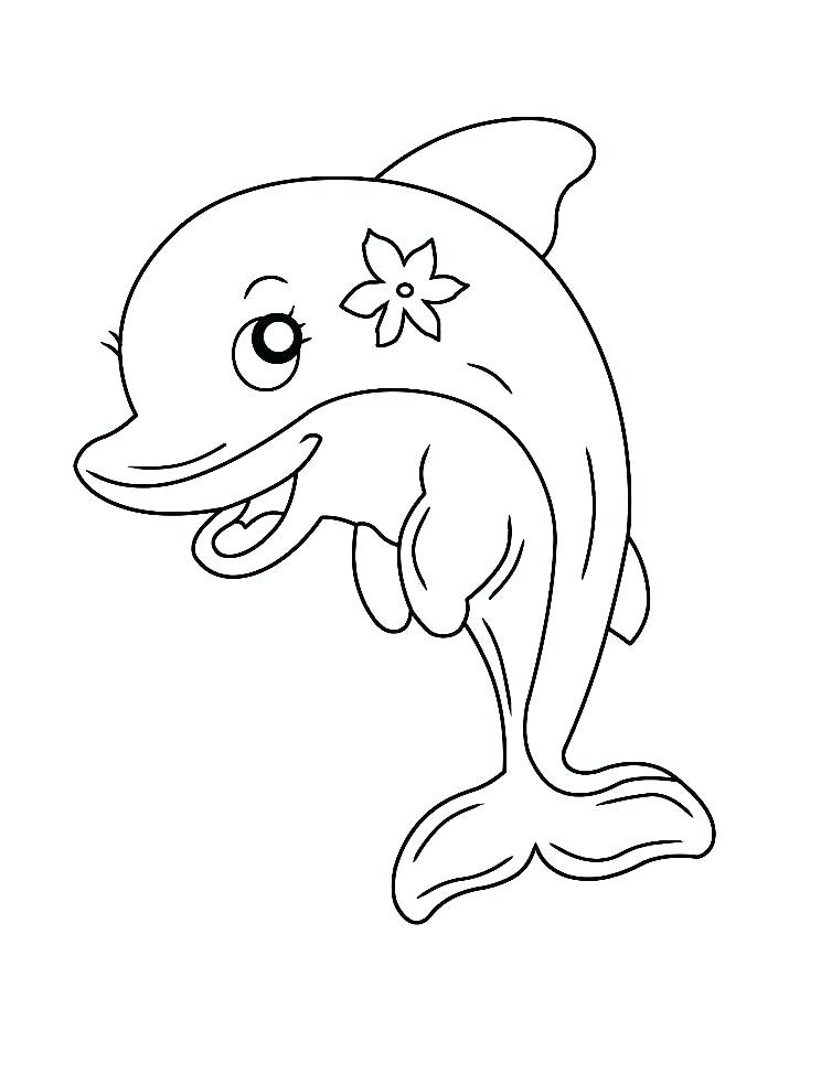 Desenho de Golfinho com Linda Flor na Cabeça para Colorir
