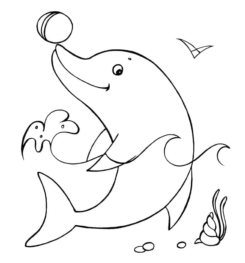 Desenho de Golfinho e Bola para Colorir