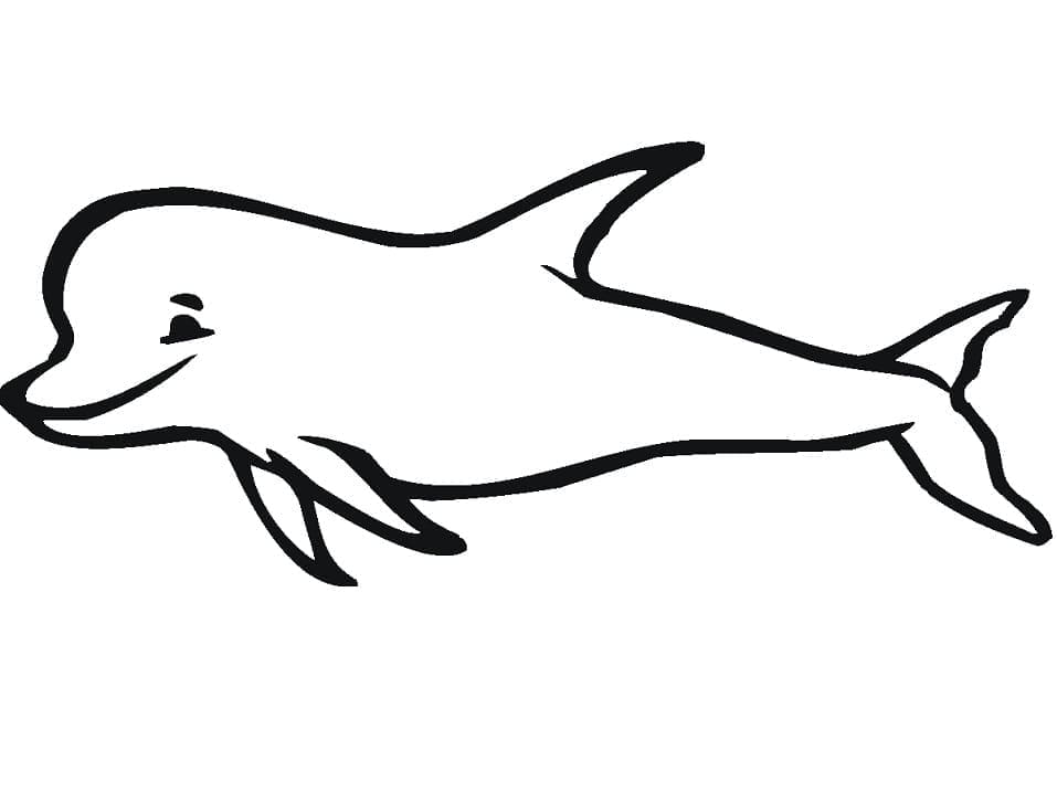 Desenho de Golfinho Nadando para Colorir