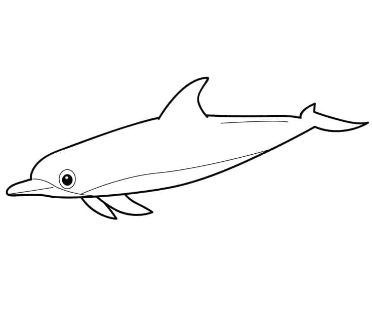 Desenho de Golfinho Normal para Colorir