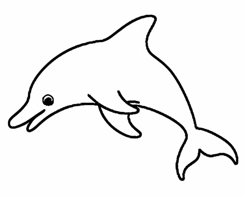 Desenho de Golfinho Simples para Colorir