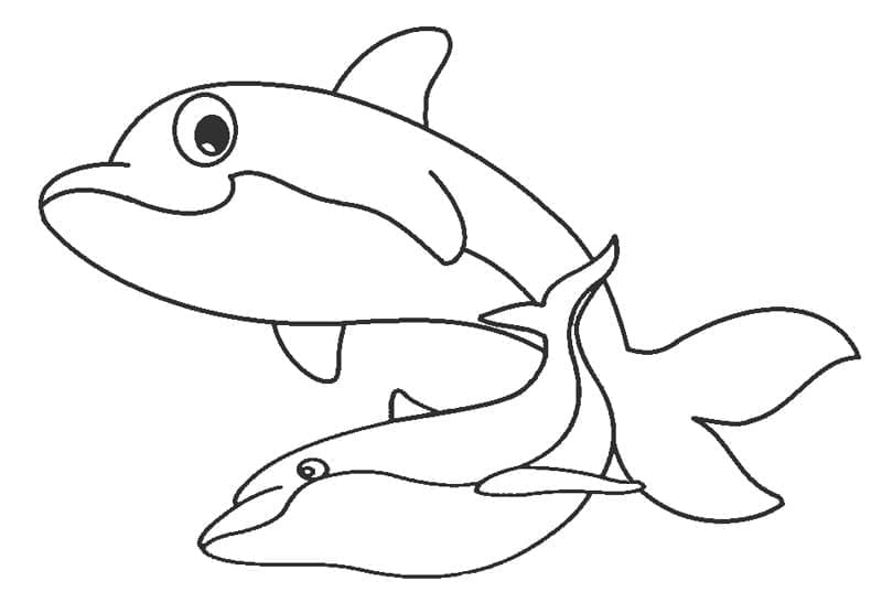 Desenho de Golfinhos Animados para Colorir