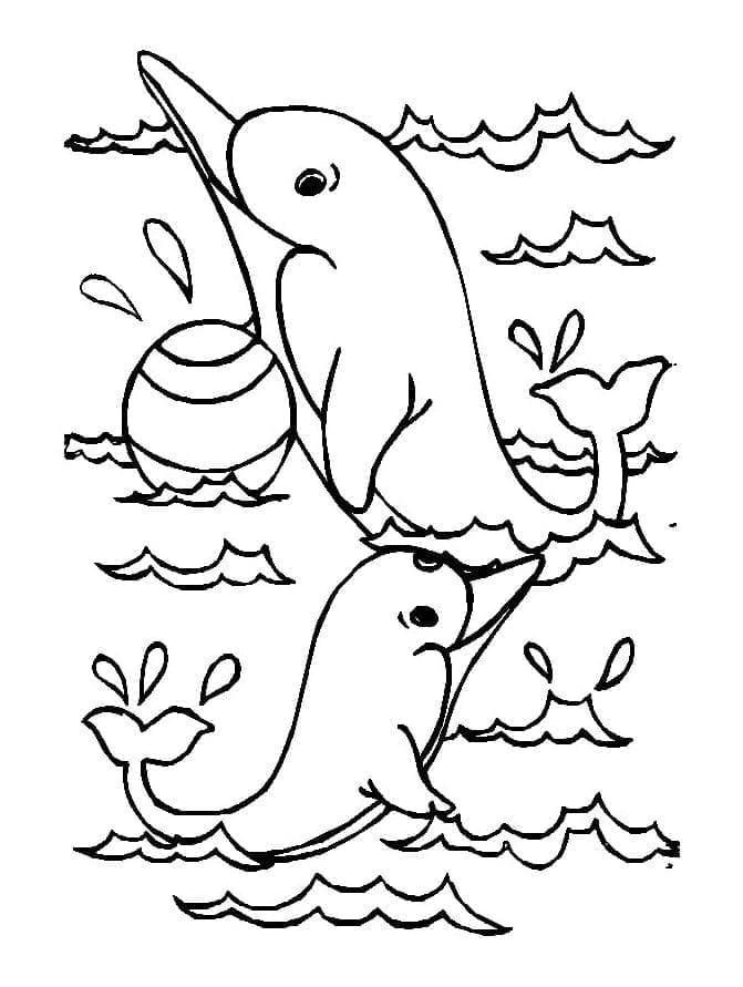 Desenho de Golfinhos Engracados para Colorir