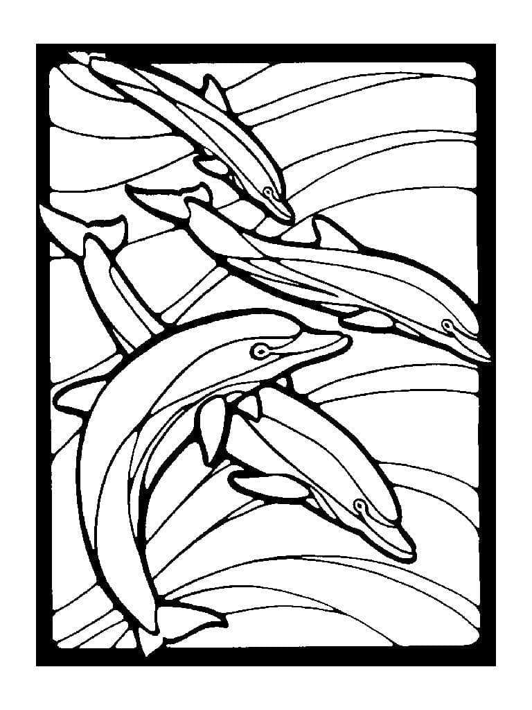 Desenho de Golfinhos para Colorir