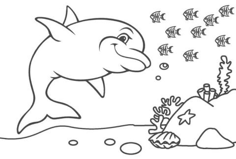 Desenho de Um Golfinho Feliz para Colorir