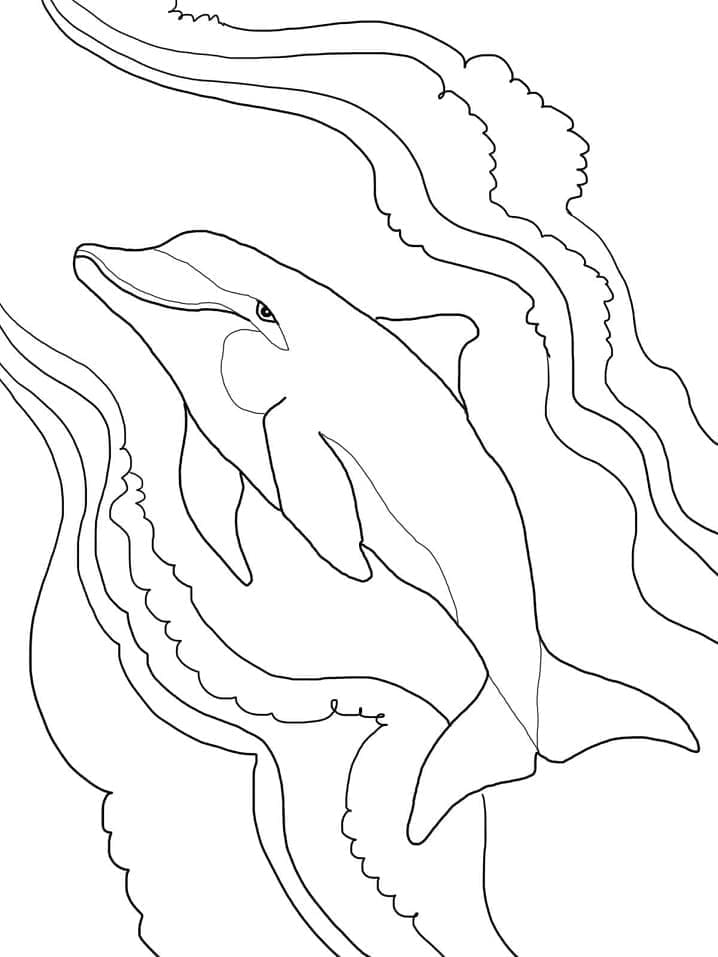 Desenho de um Golfinho Nadando para Colorir