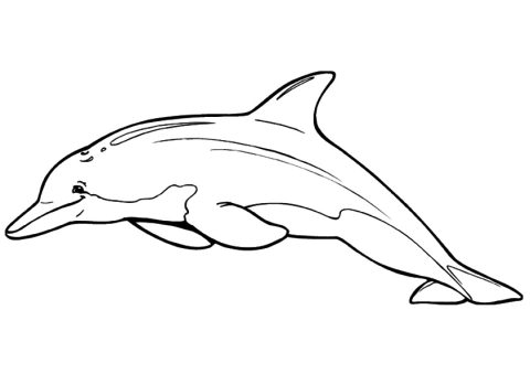 Desenho fácil para Colorir de Golfinho para crianças