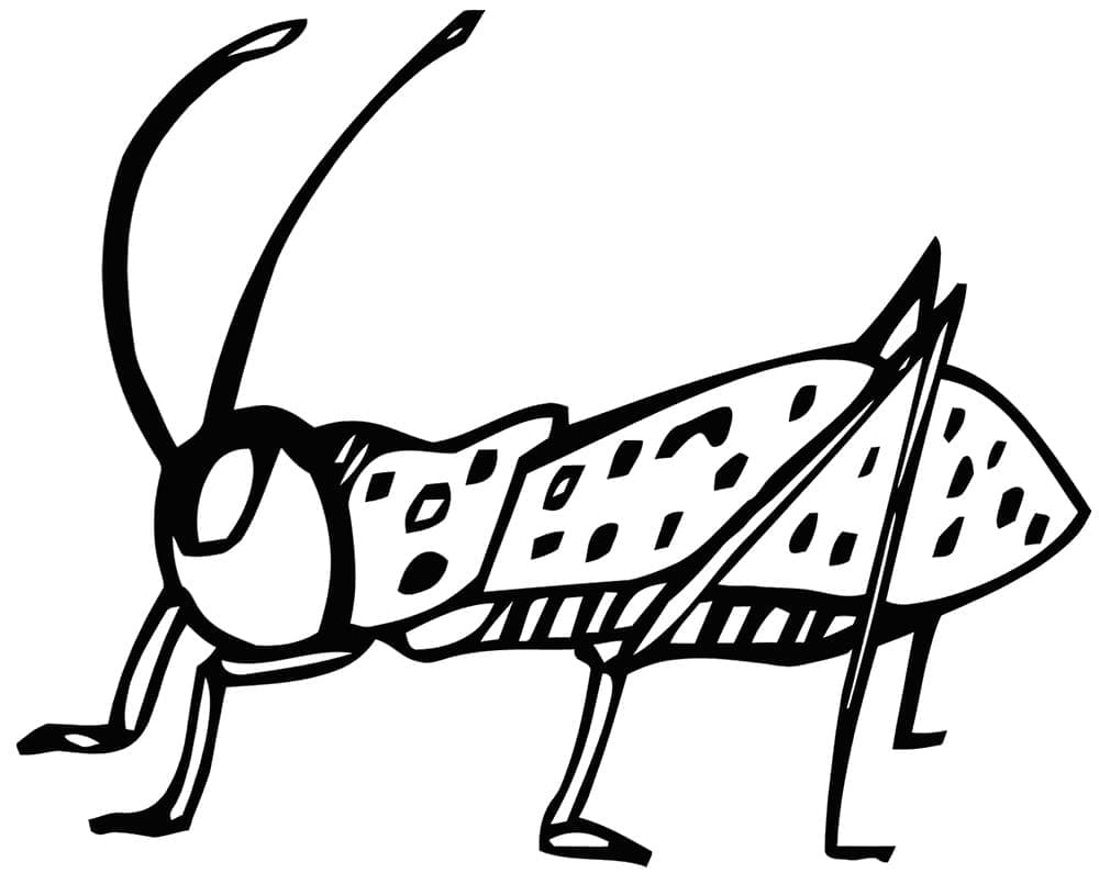 Desenho de Imagem de Grilo para Colorir