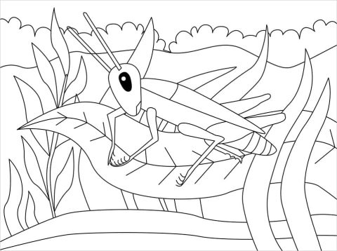 Desenho de Um Grilo Normal para Colorir