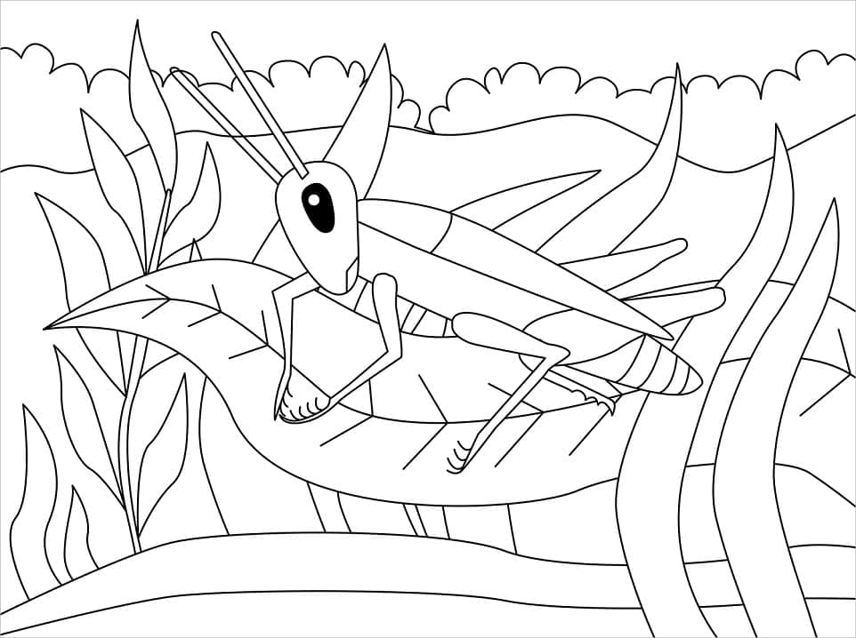 Desenho de um Grilo Normal para Colorir