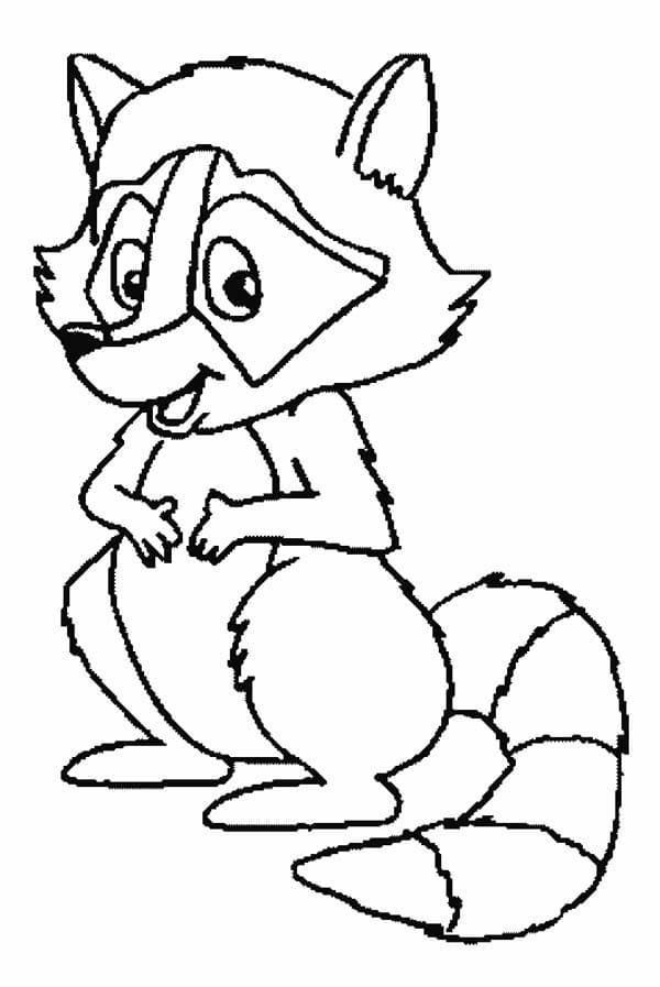 Desenho de Guaxinim Imprimivel Download