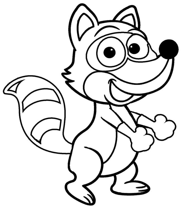 Desenho de Guaxinim Infantil para Colorir