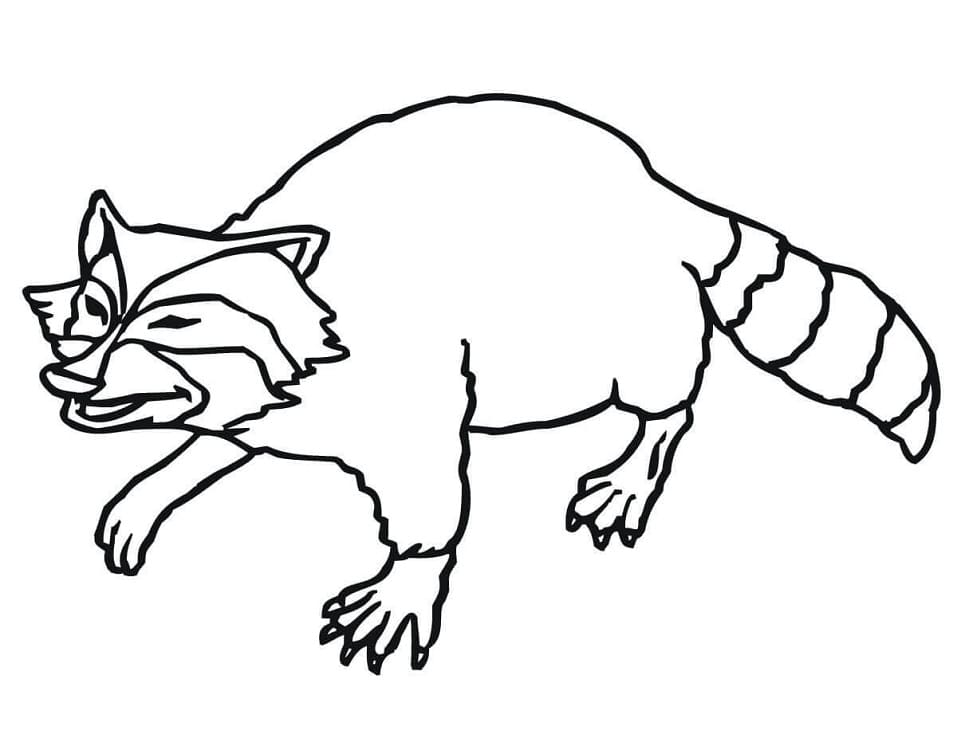 Desenho de Guaxinim Kawaii para Colorir