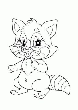 Desenho Guaxinim Fofo para Colorir