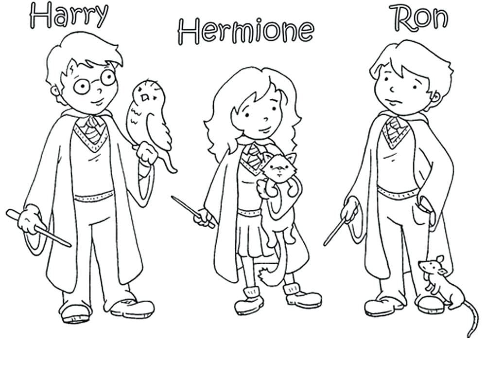 Desenho de Harry Potter com Vassourá para Colorir