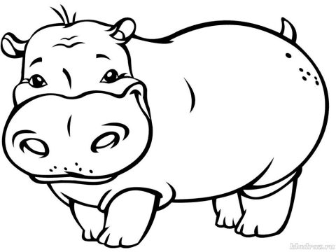 Desenho de hipopótamo Pequeno para Imprimir