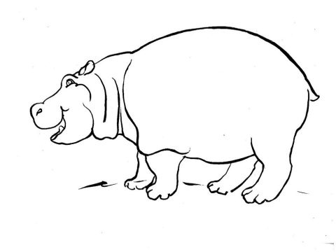 Desenho de hipopótamo Sorridente para Colorir