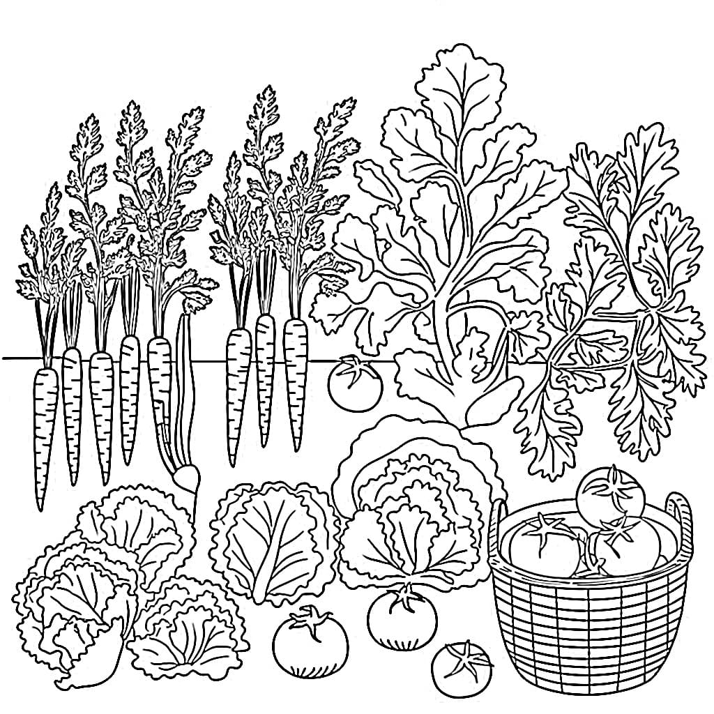 Desenho de Horta Grátis para Crianças para Colorir