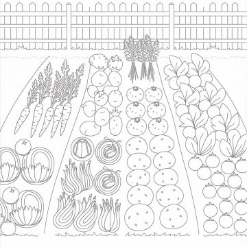 Desenho de Horta para crianças de 2 Ano para Colorir