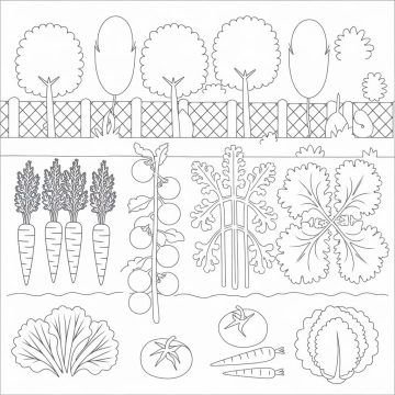 Desenho de Horta Simples para Colorir