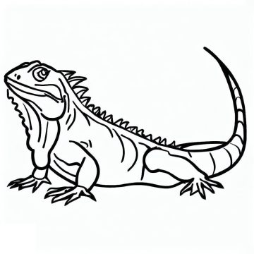 Desenho de Iguana
