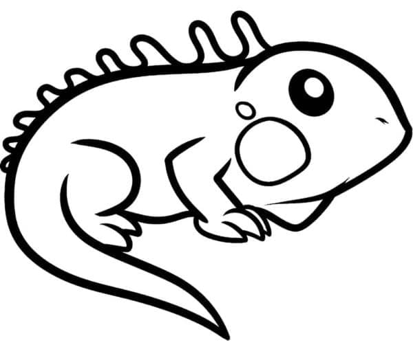 Desenho de Iguana Adorável para Colorir