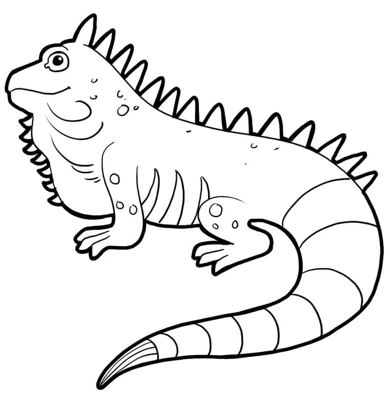 Desenho de Iguana Amigável para Colorir