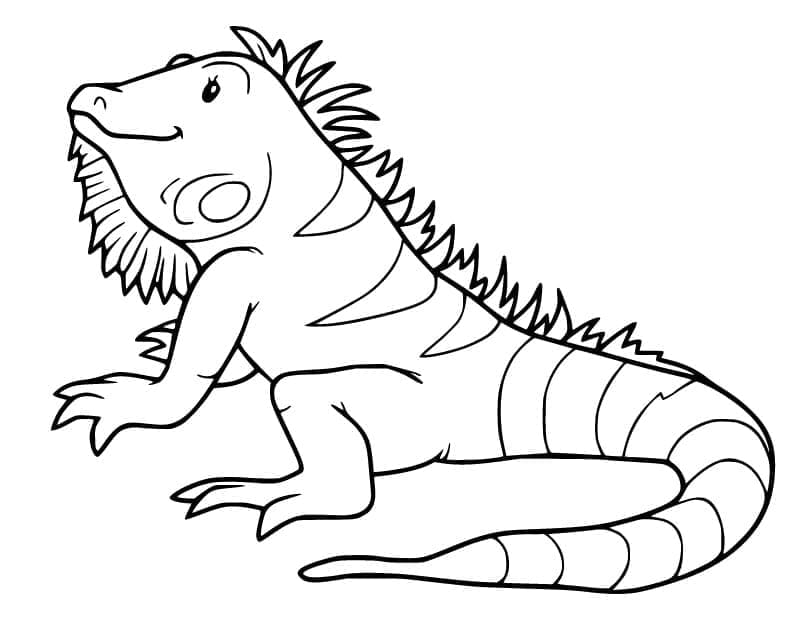 Desenho de Iguana Animada para Colorir