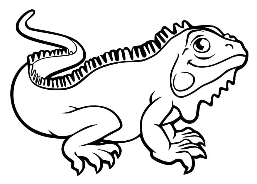 Desenho de Iguana de Desenho Animado para Colorir