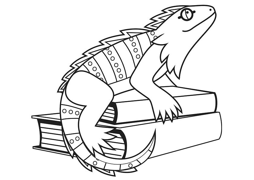 Desenho de Iguana e Livros para Colorir
