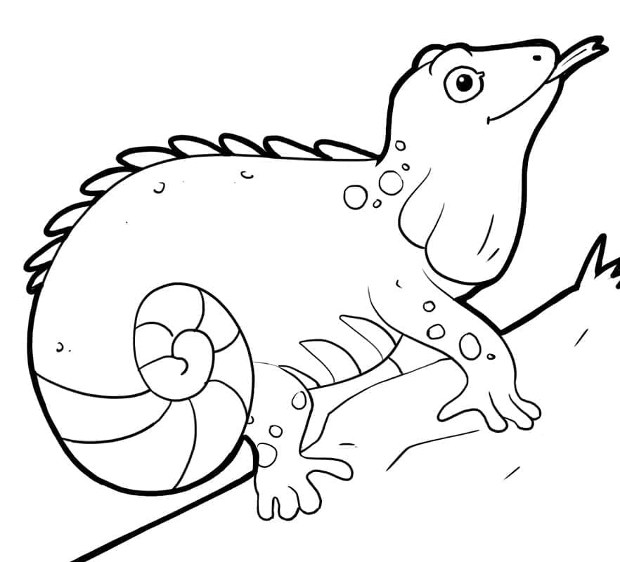 Desenho de Iguana Fofa para Colorir
