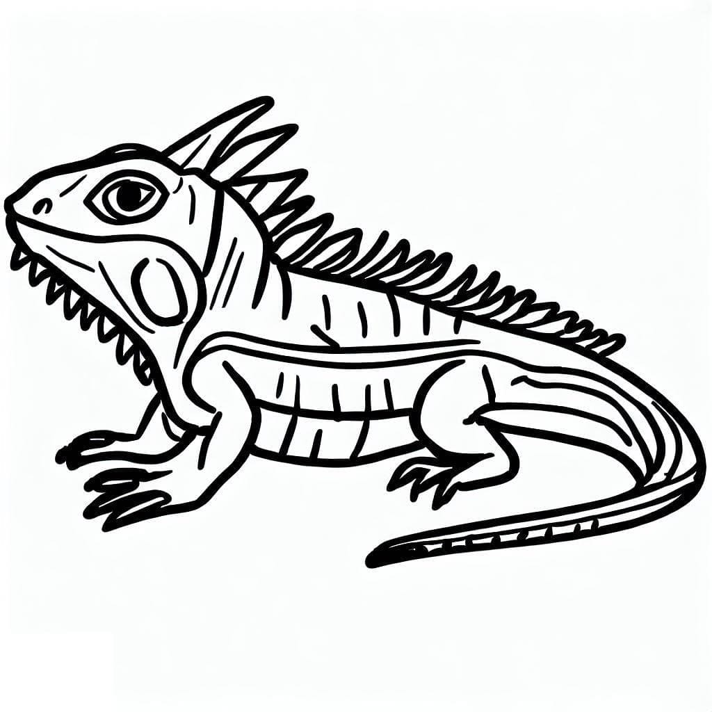 Desenho de Iguana Grátis para Colorir
