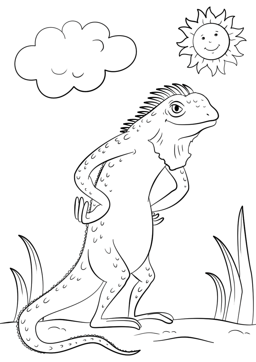 Desenhos de Iguana Para Colorir para Colorir