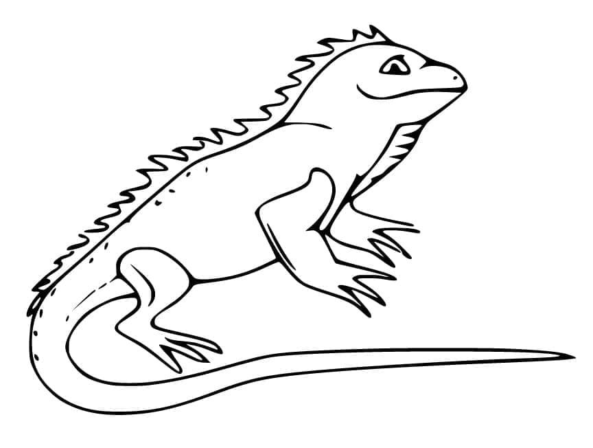 Desenho de Iguana Sorridente para Colorir