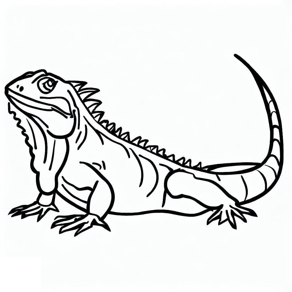 Desenho de Iguana