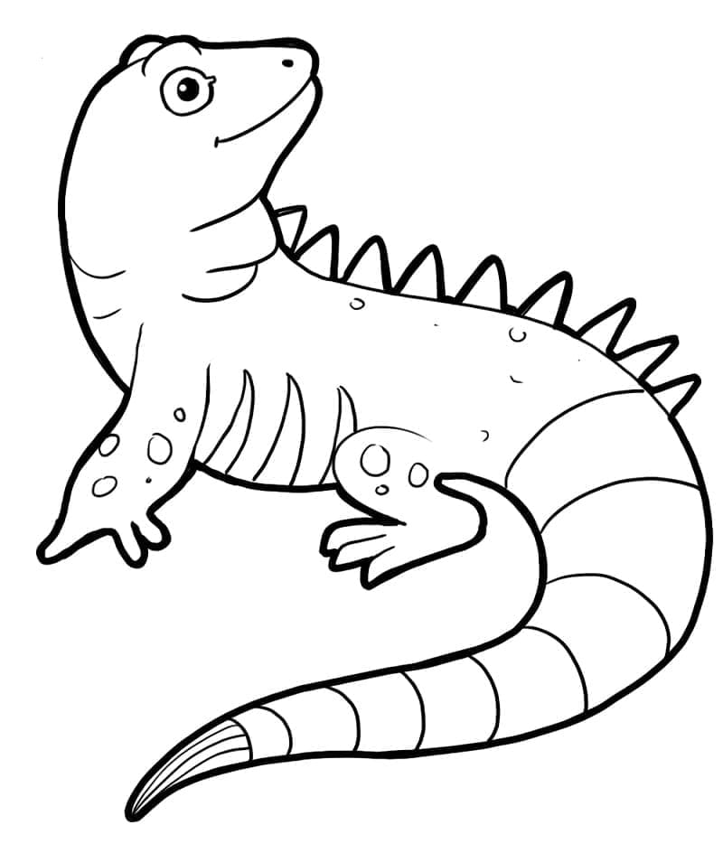 Desenho de uma Iguana Feliz para Colorir