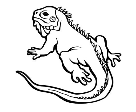 Desenho de Uma Iguana para Colorir