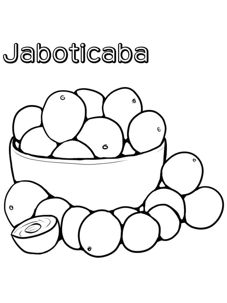 Desenho de Jabuticaba para Imprimir