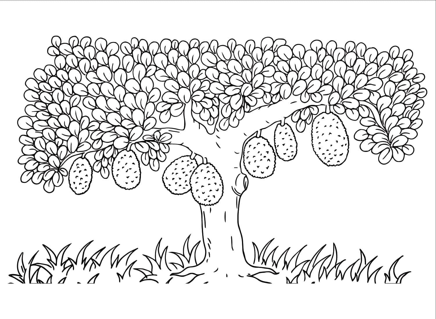 Desenho de Árvore de Jaca para Colorir