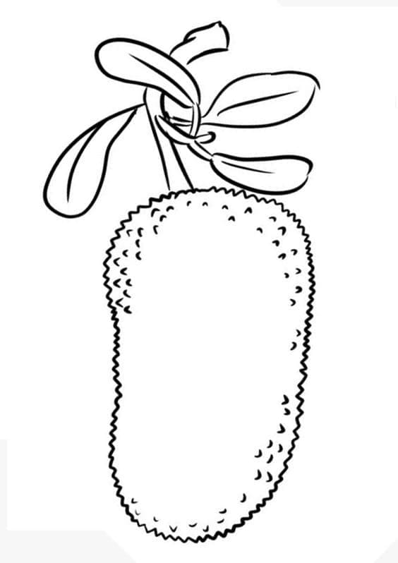 Desenho de Imagem de Jaca para Colorir
