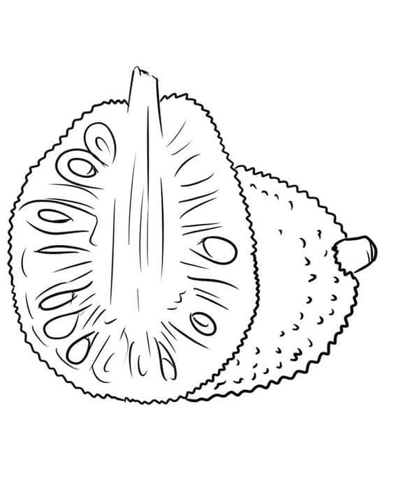 Desenho de Jaca Grátis para Crianças para Colorir