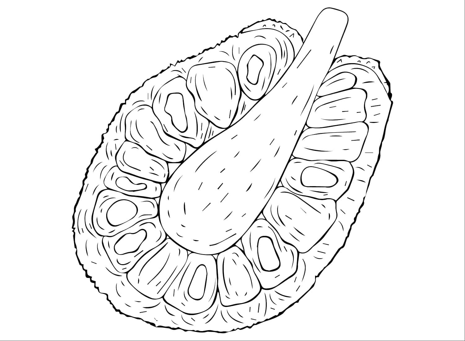 Desenho de Jaca Imprimivel para Colorir