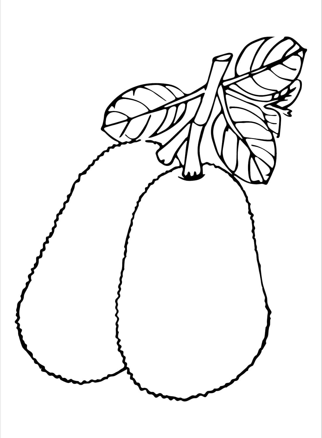 Desenho de Jacas para Colorir