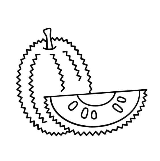 Desenho de uma Jaca Fácil para Colorir