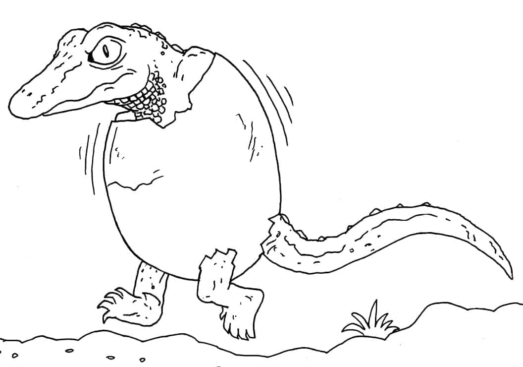 Desenho de Bebê Jacaré para Colorir